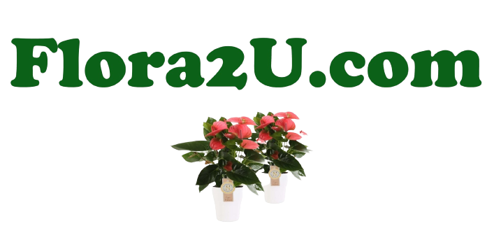 Flora2U.com